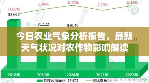 今日农业气象分析报告，最新天气状况对农作物影响解读