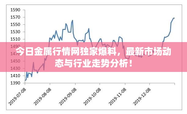 今日金属行情网独家爆料，最新市场动态与行业走势分析！