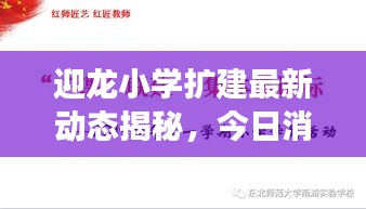 迎龙小学扩建最新动态揭秘，今日消息全解读