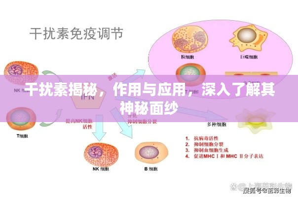 干扰素揭秘，作用与应用，深入了解其神秘面纱