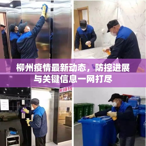 柳州疫情最新动态，防控进展与关键信息一网打尽