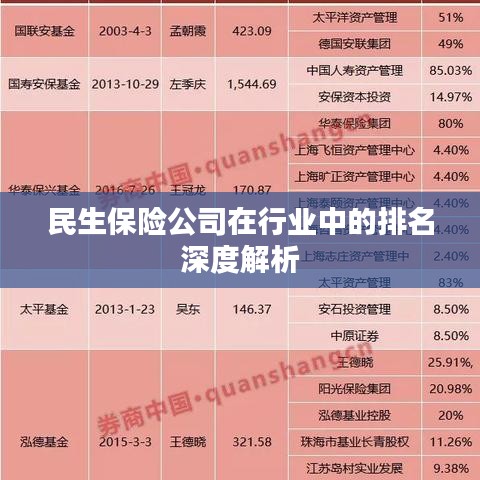 民生保险公司在行业中的排名深度解析