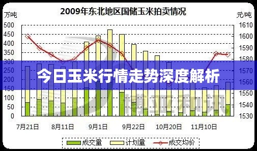 今日玉米行情走势深度解析