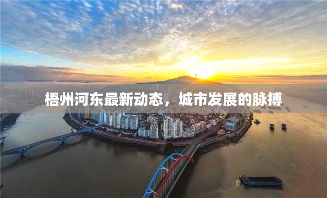梧州河东最新动态，城市发展的脉搏