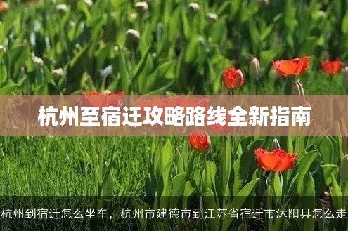 杭州至宿迁攻略路线全新指南