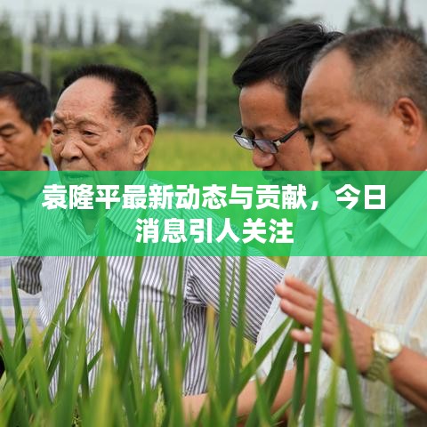 袁隆平最新动态与贡献，今日消息引人关注