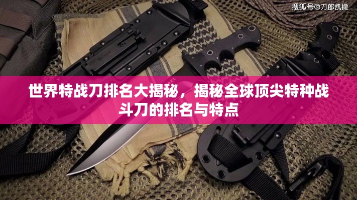 世界特战刀排名大揭秘，揭秘全球顶尖特种战斗刀的排名与特点