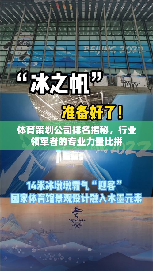 体育策划公司排名揭秘，行业领军者的专业力量比拼