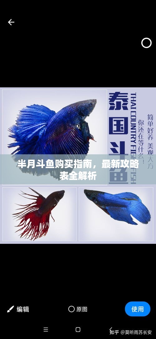半月斗鱼购买指南，最新攻略表全解析