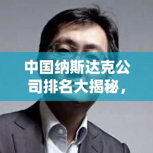 中国纳斯达克公司排名大揭秘，深度解析企业排名榜单
