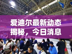 爱迪尔最新动态揭秘，今日消息引人瞩目