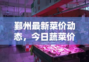 鄞州最新菜价动态，今日蔬菜价格走势分析与预测