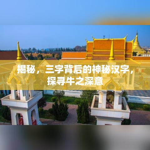 揭秘，三字背后的神秘汉字，探寻牛之深意