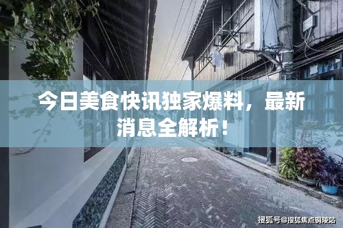 今日美食快讯独家爆料，最新消息全解析！