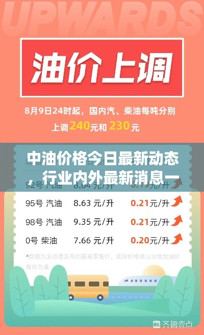 中油价格今日最新动态，行业内外最新消息一网打尽！