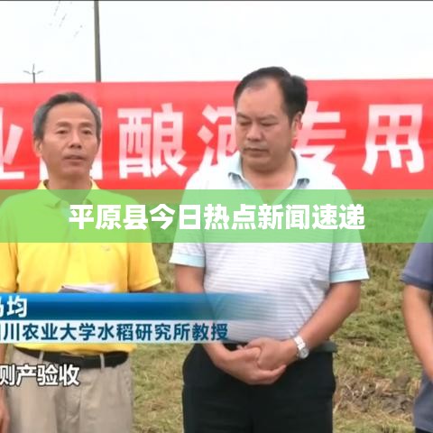 平原县今日热点新闻速递