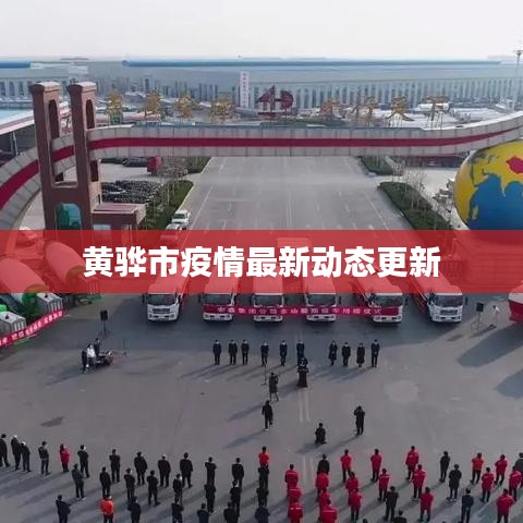 黄骅市疫情最新动态更新