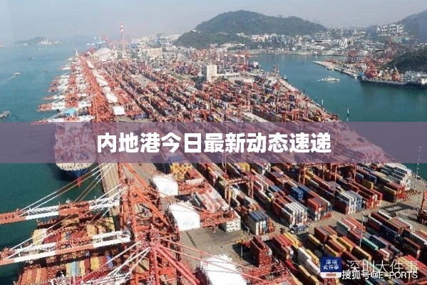 内地港今日最新动态速递
