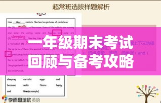 一年级期末考试回顾与备考攻略