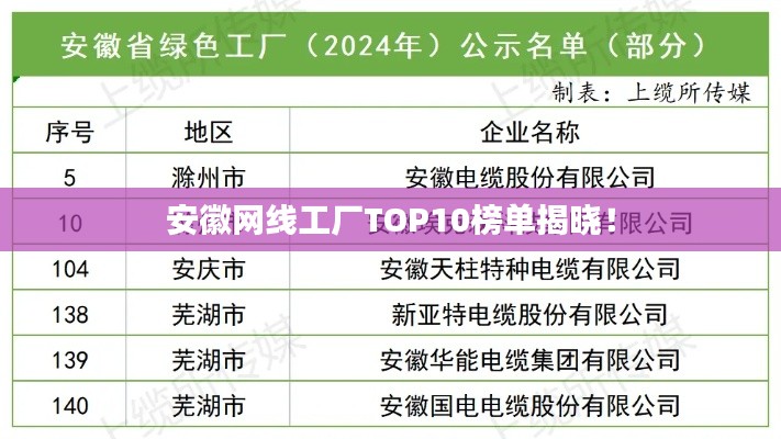安徽网线工厂TOP10榜单揭晓！