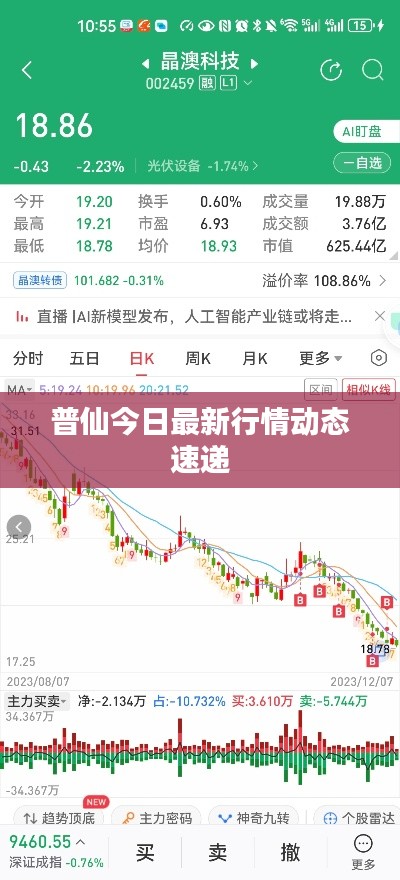 普仙今日最新行情动态速递