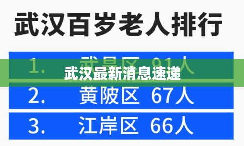 武汉最新消息速递