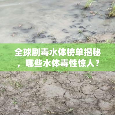全球剧毒水体榜单揭秘，哪些水体毒性惊人？
