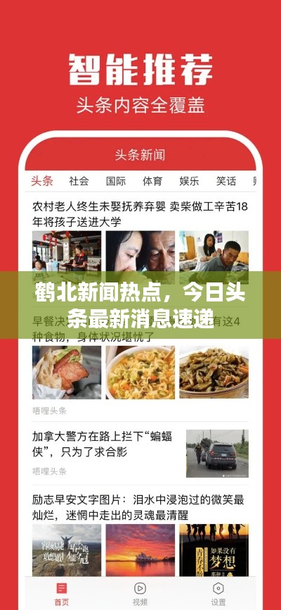 鹤北新闻热点，今日头条最新消息速递
