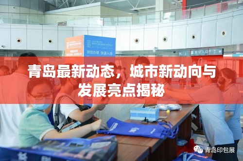 青岛最新动态，城市新动向与发展亮点揭秘
