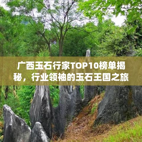 广西玉石行家TOP10榜单揭秘，行业领袖的玉石王国之旅