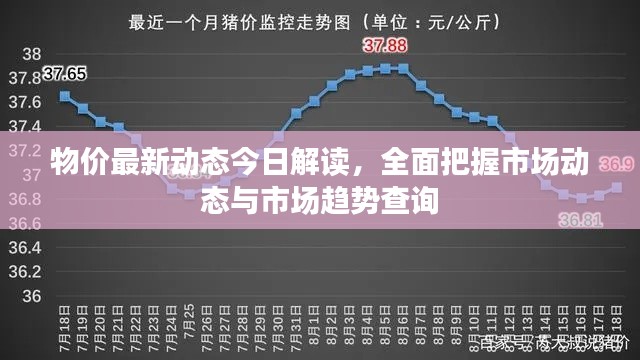 物价最新动态今日解读，全面把握市场动态与市场趋势查询