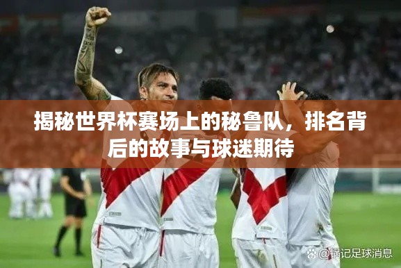 揭秘世界杯赛场上的秘鲁队，排名背后的故事与球迷期待