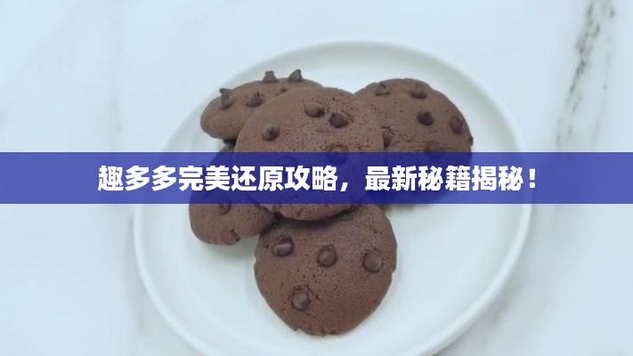 趣多多完美还原攻略，最新秘籍揭秘！
