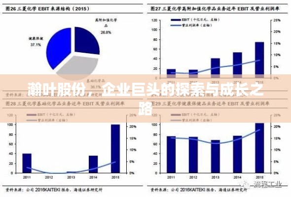 瀚叶股份，企业巨头的探索与成长之路