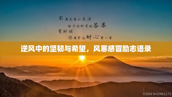 逆风中的坚韧与希望，风寒感冒励志语录