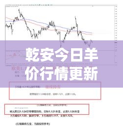 乾安今日羊价行情更新，最新消息与走势分析