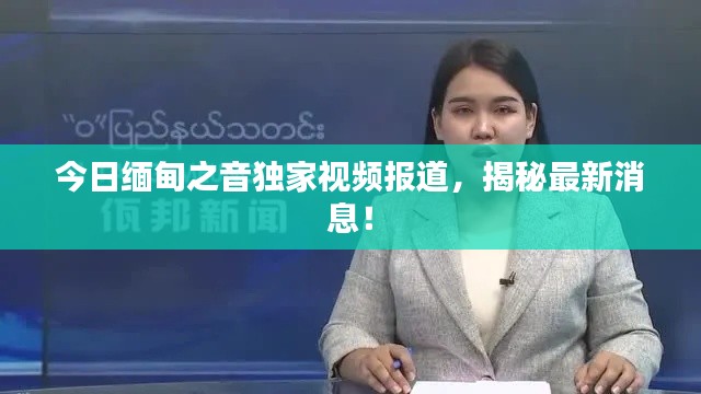 今日缅甸之音独家视频报道，揭秘最新消息！
