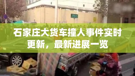 石家庄大货车撞人事件实时更新，最新进展一览