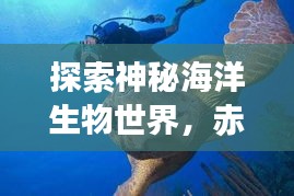 探索神秘海洋生物世界，赤甲红螃蟹最新视频集锦！
