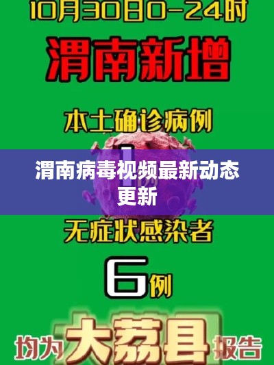 渭南病毒视频最新动态更新