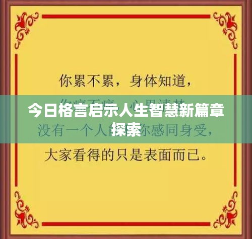 今日格言启示人生智慧新篇章探索