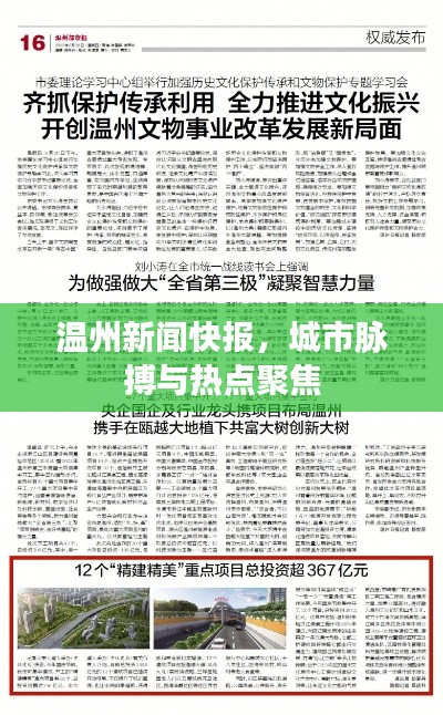 温州新闻快报，城市脉搏与热点聚焦
