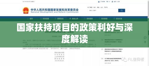 国家扶持项目的政策利好与深度解读