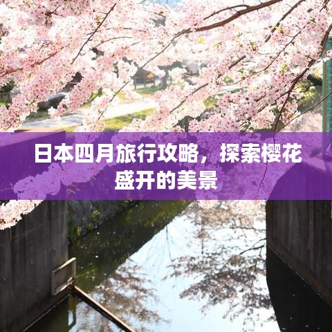 日本四月旅行攻略，探索樱花盛开的美景