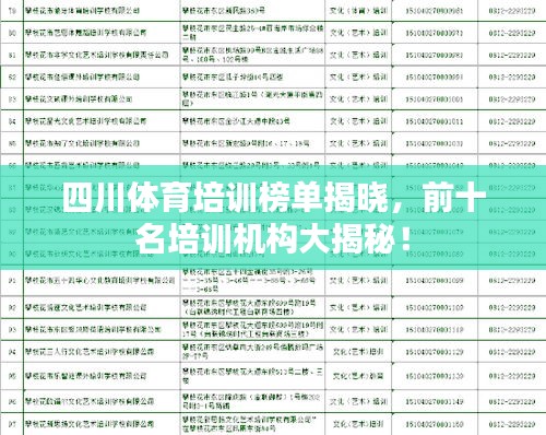 四川体育培训榜单揭晓，前十名培训机构大揭秘！