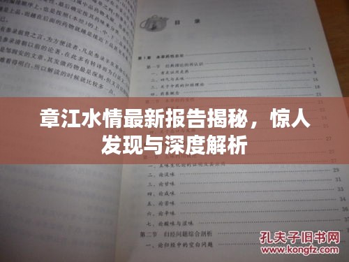 章江水情最新报告揭秘，惊人发现与深度解析