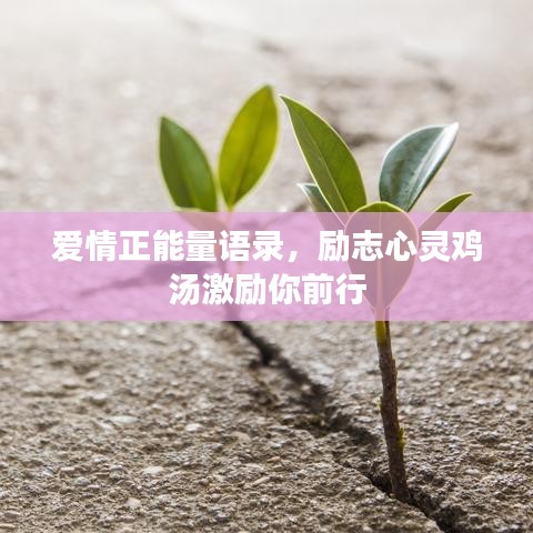 爱情正能量语录，励志心灵鸡汤激励你前行