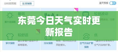 风华绝代
