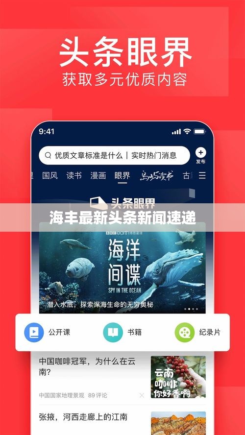 海丰最新头条新闻速递