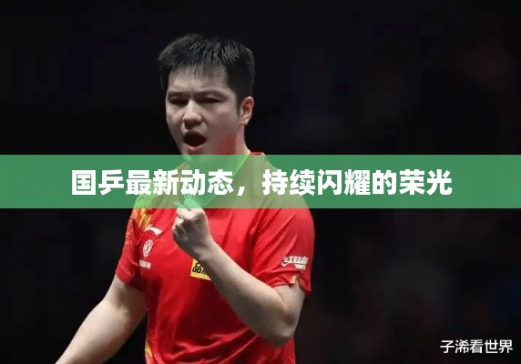国乒最新动态，持续闪耀的荣光